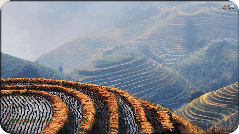 风景