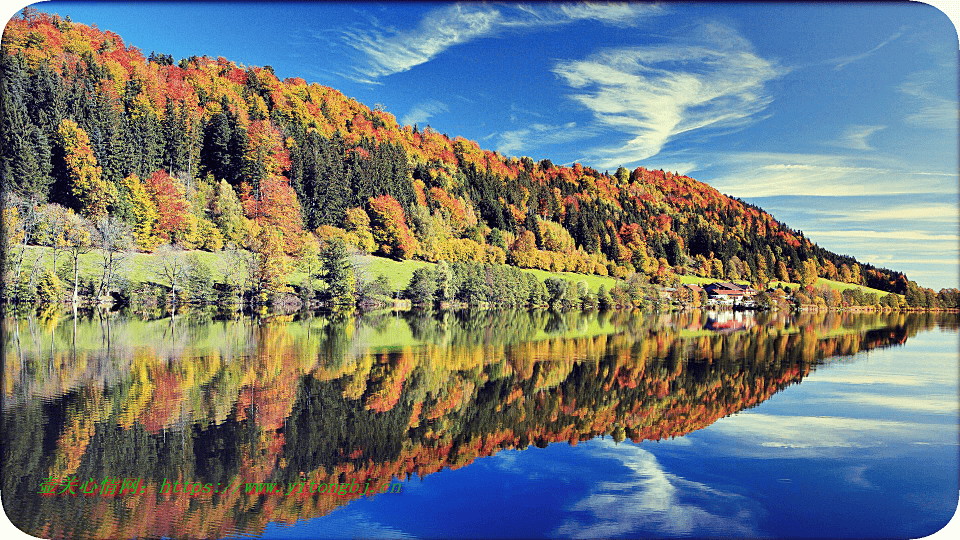 风景