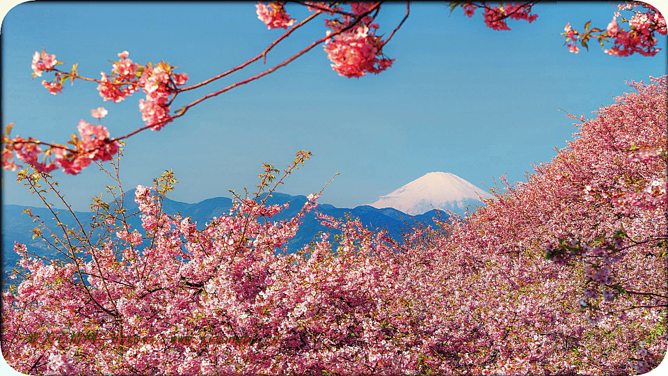 心情句子