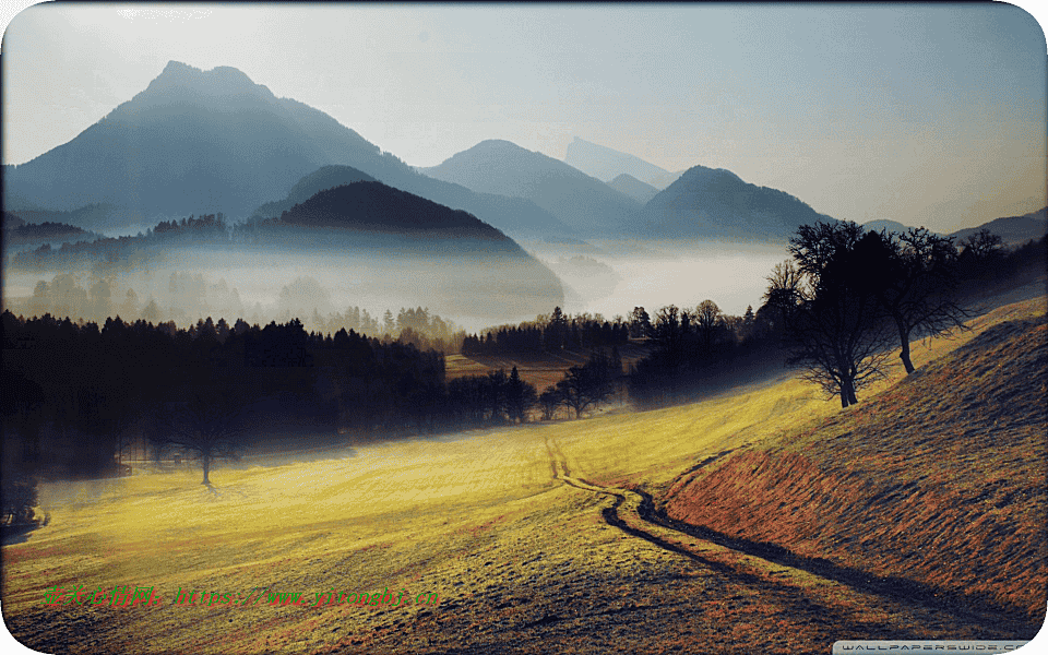 风景