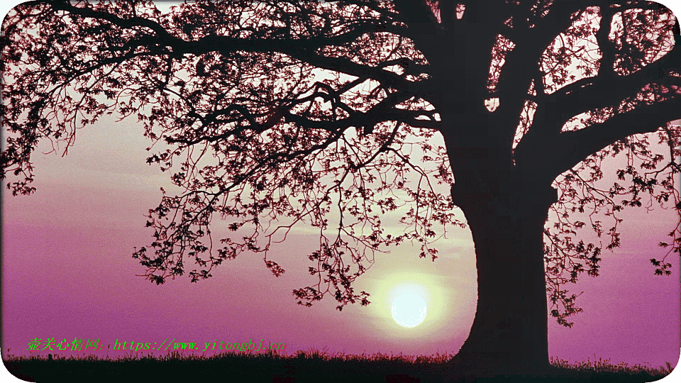 逛夜景的心情短语怎么说