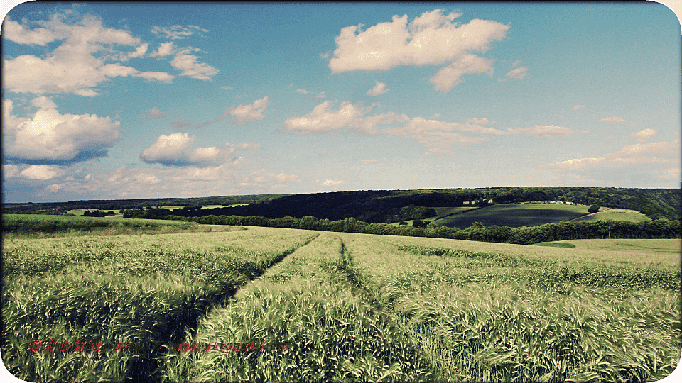 风景