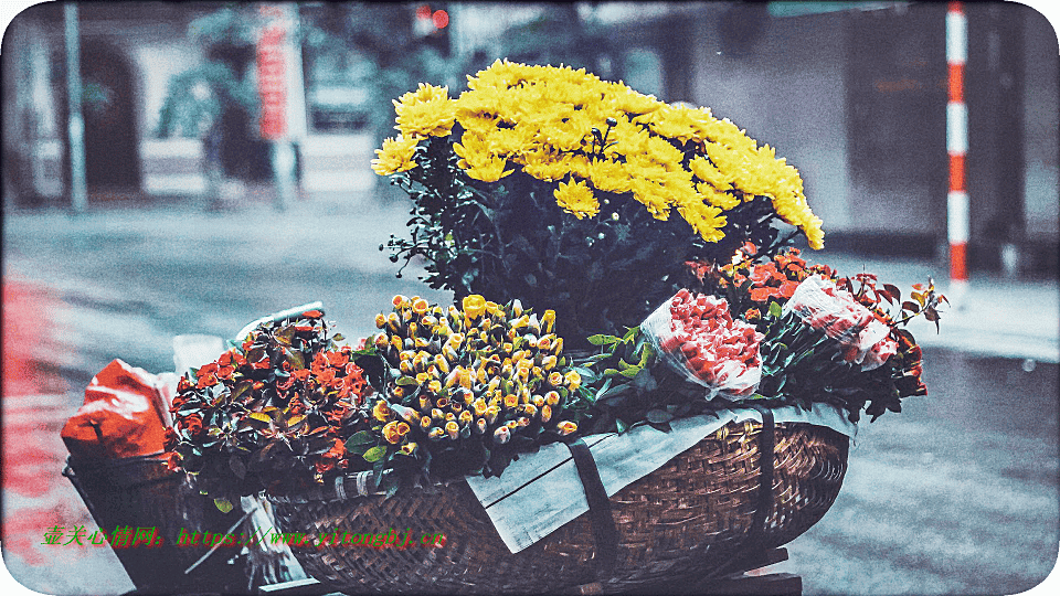 享受雨天的心情短语怎么说